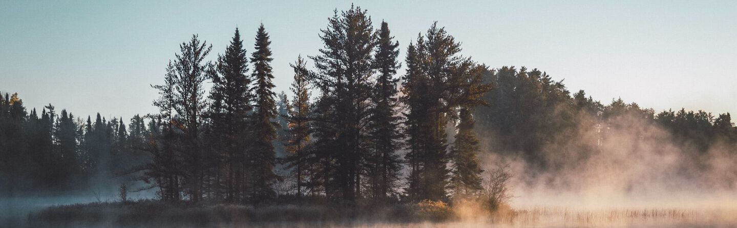 blog header